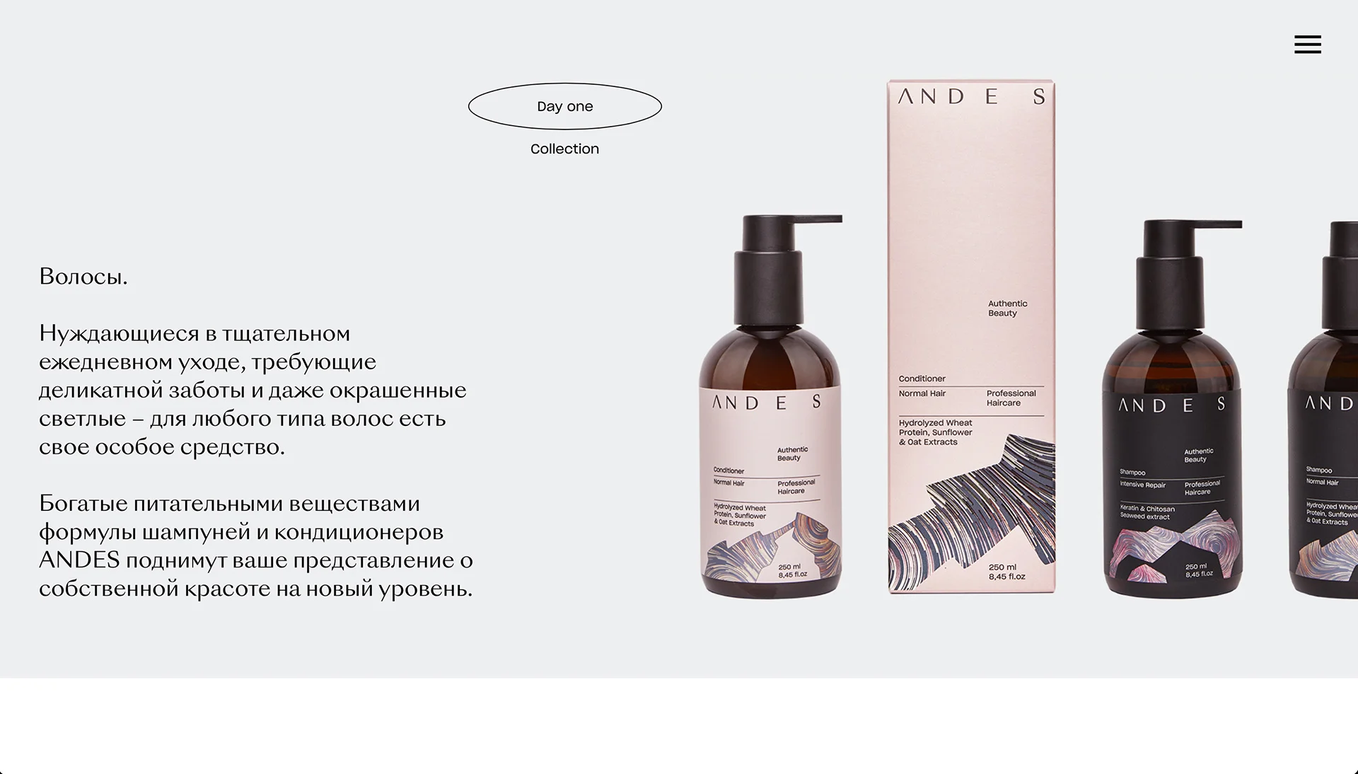 Skoro + Design case study for Andes Care, screenshot 3