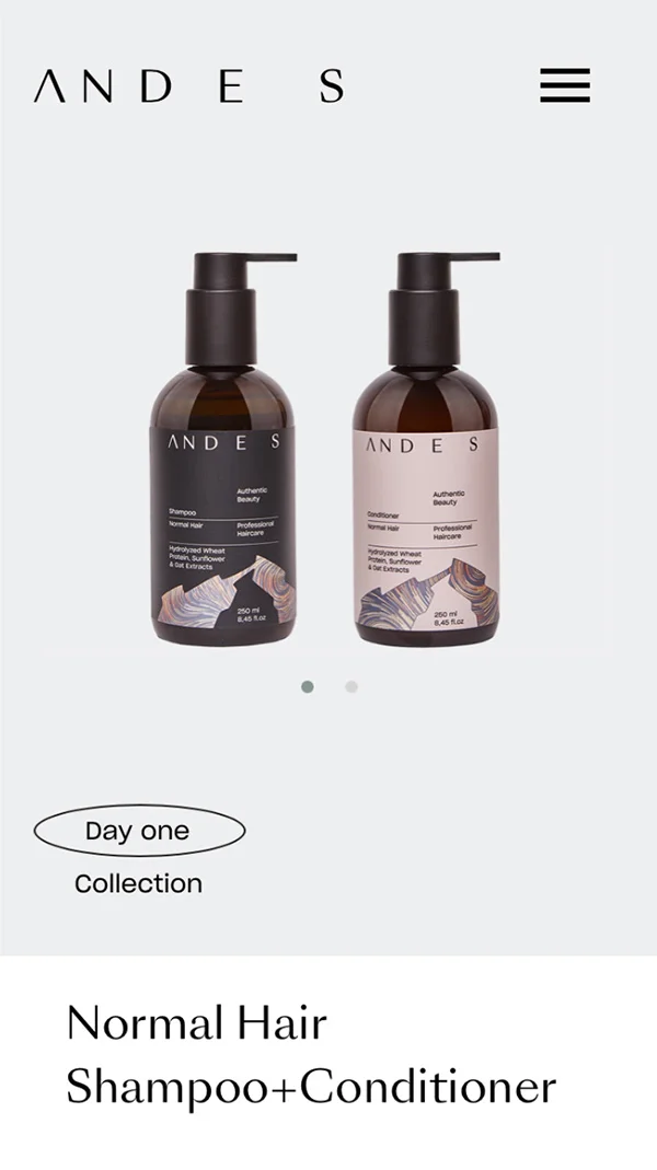 Skoro + Design case study for Andes Care, screenshot 4