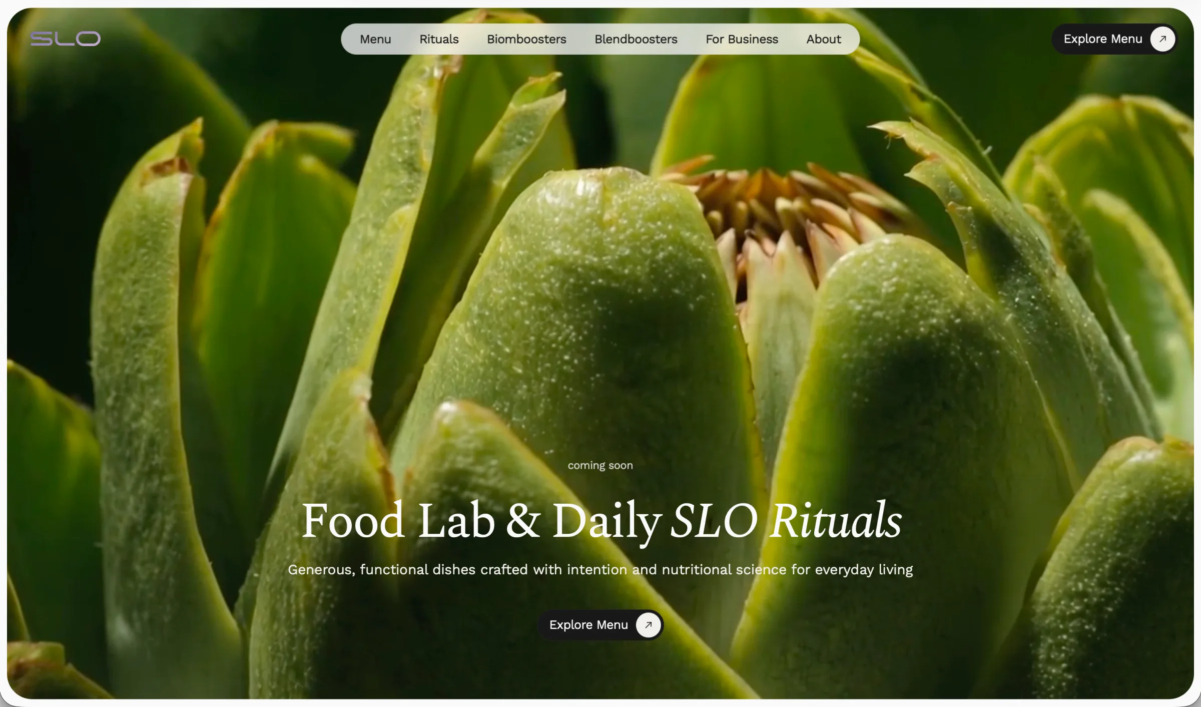 Skoro + Design case study for SLO, screenshot 1