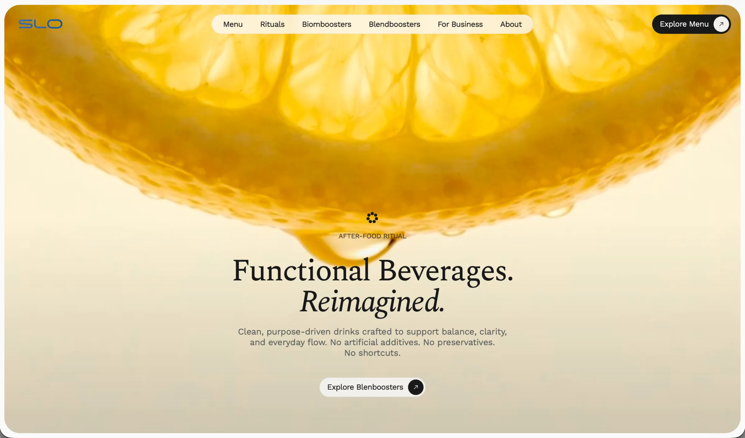Skoro + Design case study for SLO, screenshot 10