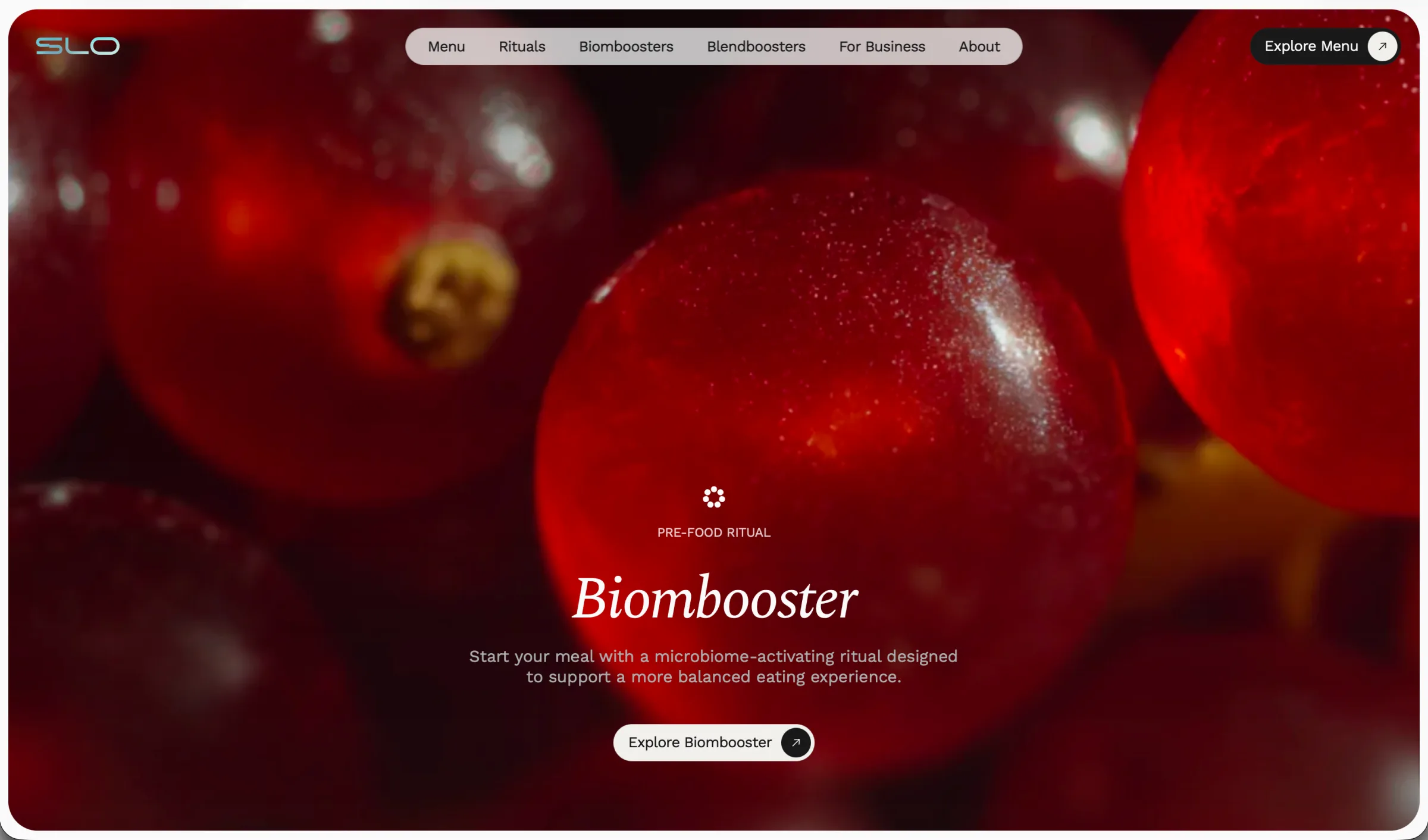 Skoro + Design case study for SLO, screenshot 11