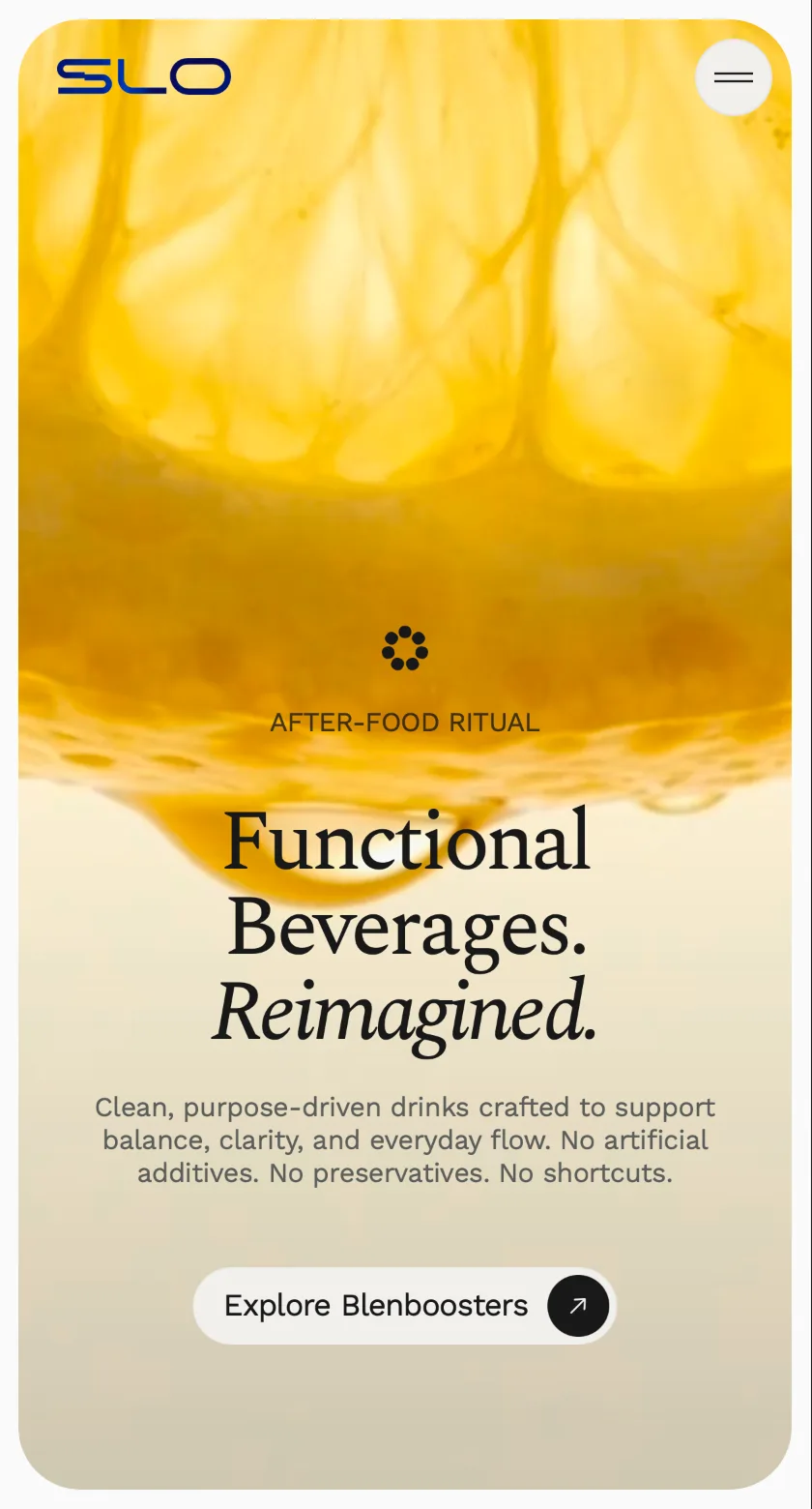 Skoro + Design case study for SLO, screenshot 12