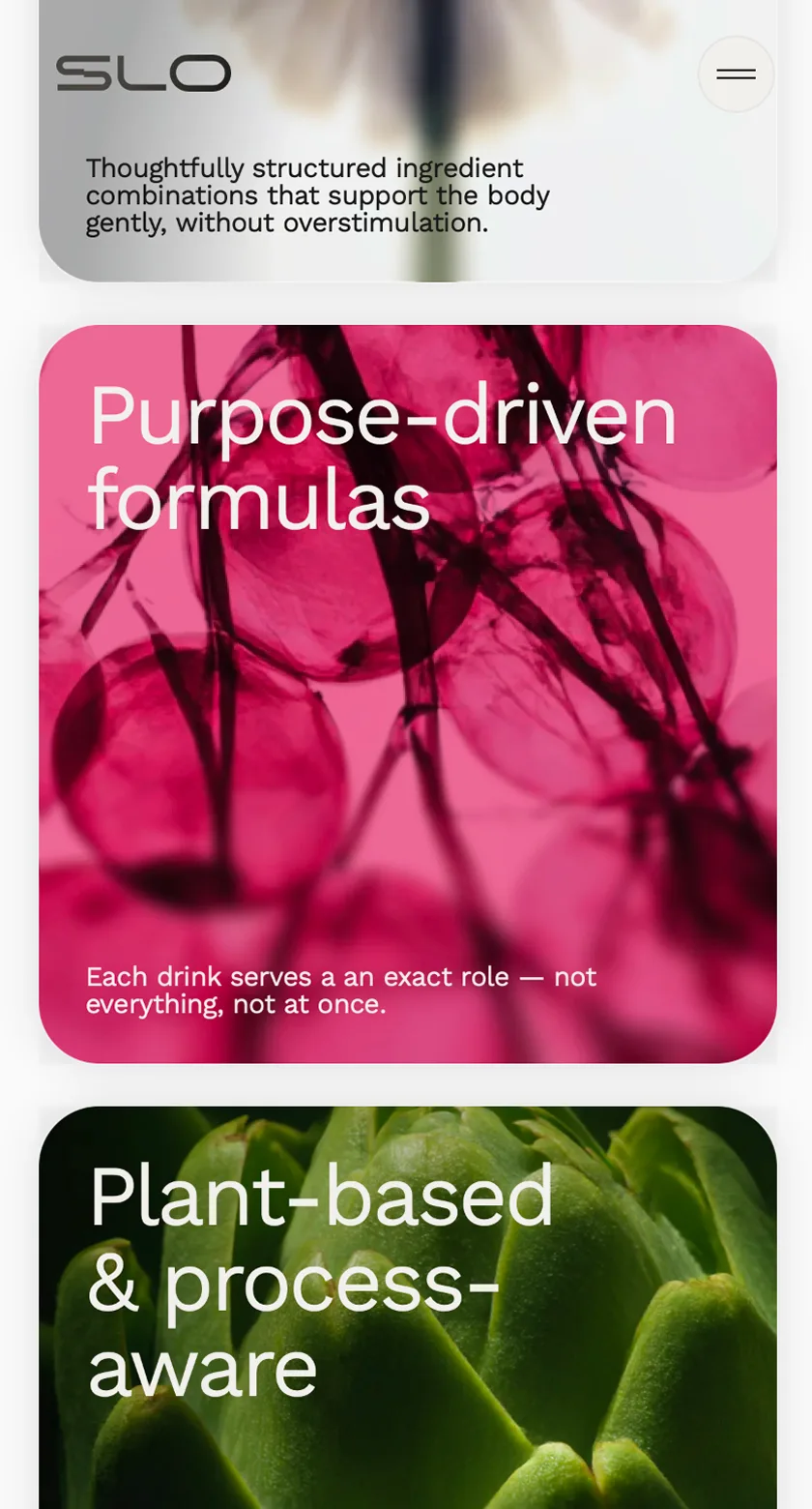 Skoro + Design case study for SLO, screenshot 13