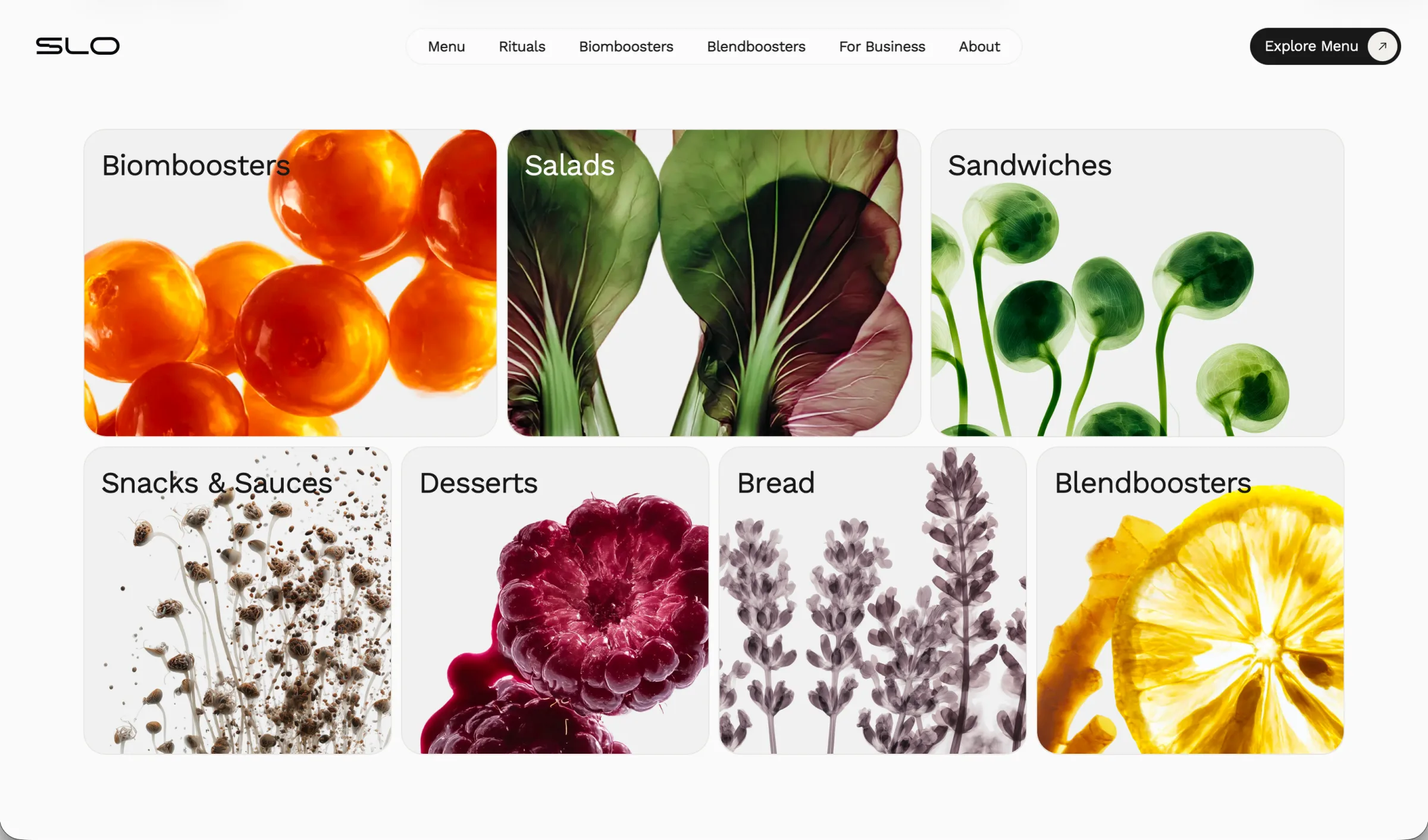 Skoro + Design case study for SLO, screenshot 3